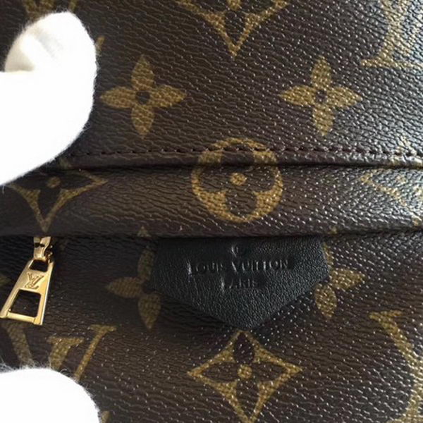 Louis Vuitton Monogram Canvas PALM SPRINGS BACKPACK MINI M41562 Louis Vuitton Monogram Canvas PALM SPRINGS BACKPACK MINI M41562