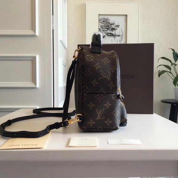Louis Vuitton Monogram Canvas PALM SPRINGS BACKPACK MINI M41562 Louis Vuitton Monogram Canvas PALM SPRINGS BACKPACK MINI M41562