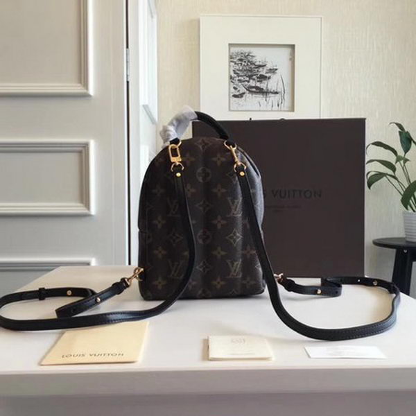 Louis Vuitton Monogram Canvas PALM SPRINGS BACKPACK MINI M41562 Louis Vuitton Monogram Canvas PALM SPRINGS BACKPACK MINI M41562