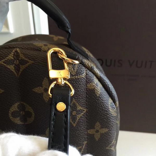 Louis Vuitton Monogram Canvas PALM SPRINGS BACKPACK MINI M41562 Louis Vuitton Monogram Canvas PALM SPRINGS BACKPACK MINI M41562