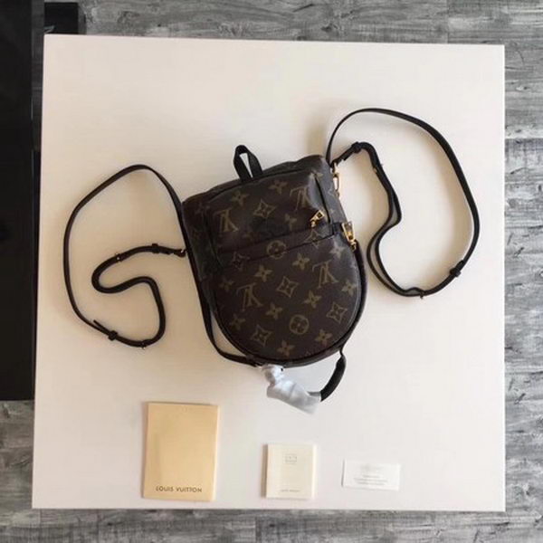 Louis Vuitton Monogram Canvas PALM SPRINGS BACKPACK MINI M41562 Louis Vuitton Monogram Canvas PALM SPRINGS BACKPACK MINI M41562