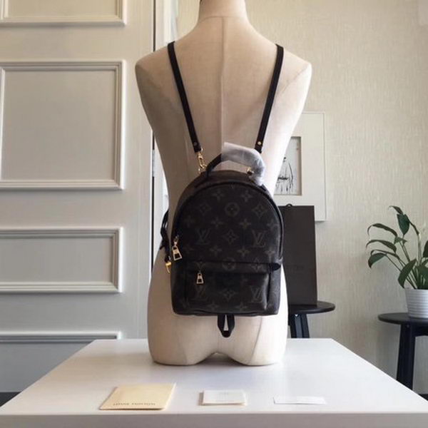 Louis Vuitton Monogram Canvas PALM SPRINGS BACKPACK MINI M41562 Louis Vuitton Monogram Canvas PALM SPRINGS BACKPACK MINI M41562