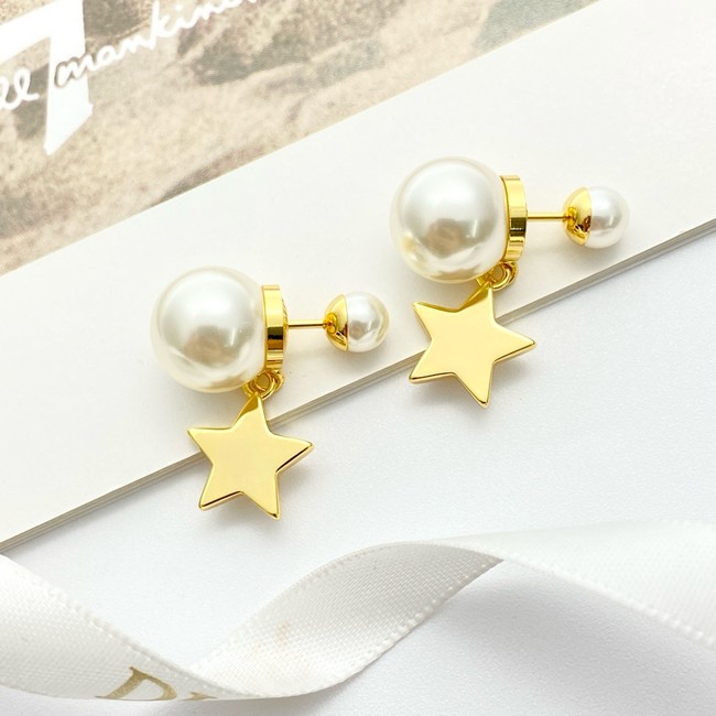 Dior Earring CE16840