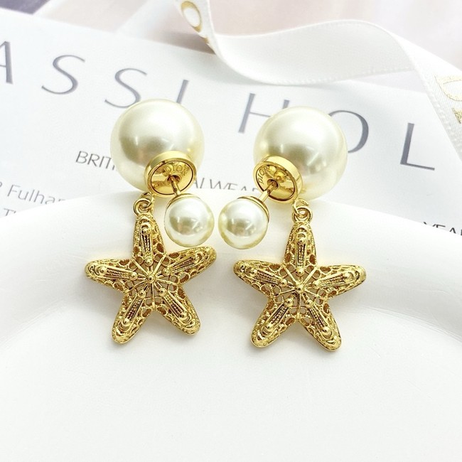 Dior Earring CE16948