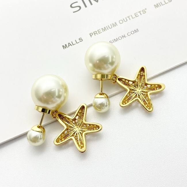 Dior Earring CE16948