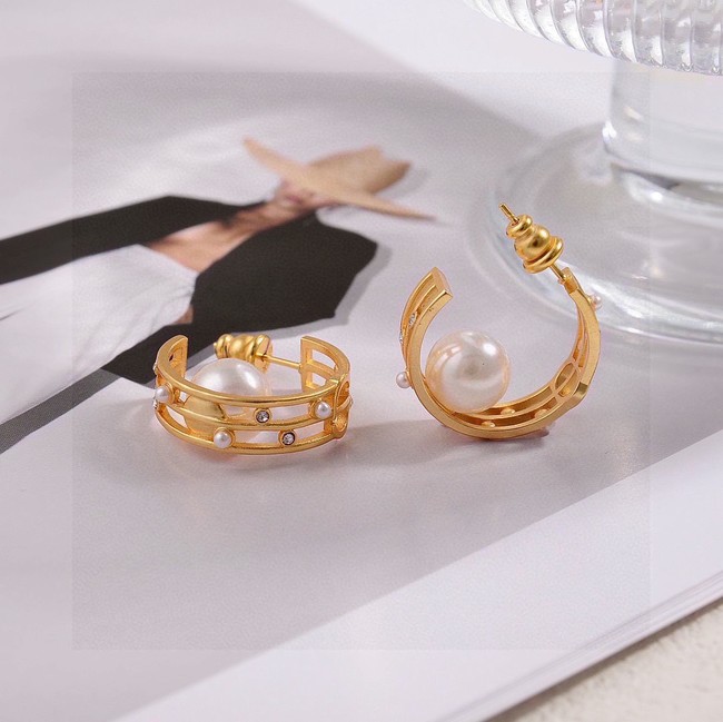 Dior Earring CE81697