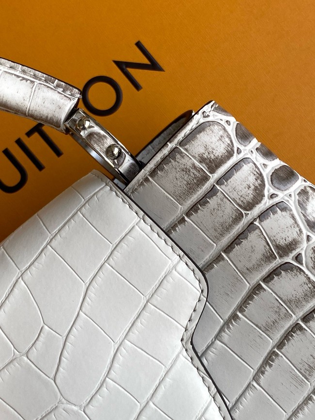 Louis Vuitton Capucines BB M98177 light gray