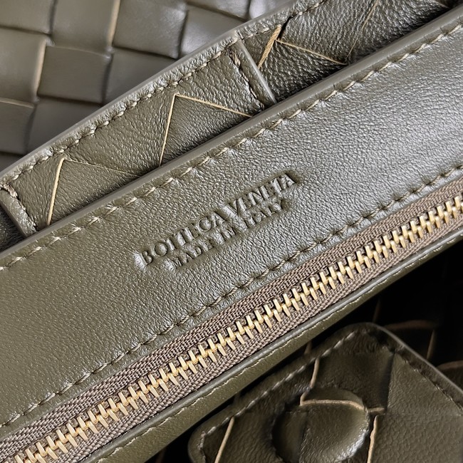 Bottega Veneta Small Andiamo 766014 Pickle