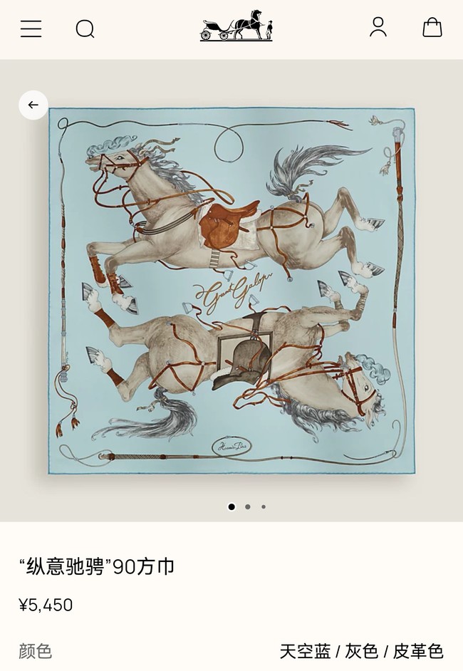 Hermes Shawl Cashmere and Silk 76130-4