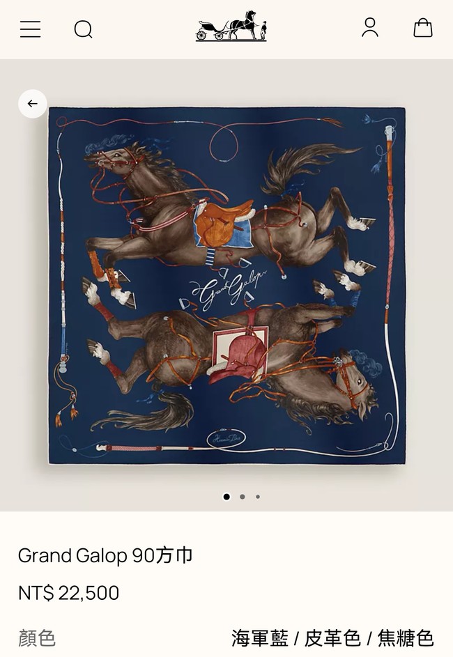 Hermes Shawl Cashmere and Silk 76130-5