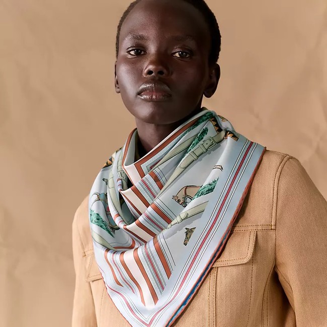 Hermes Shawl Cashmere and Silk 76130-6
