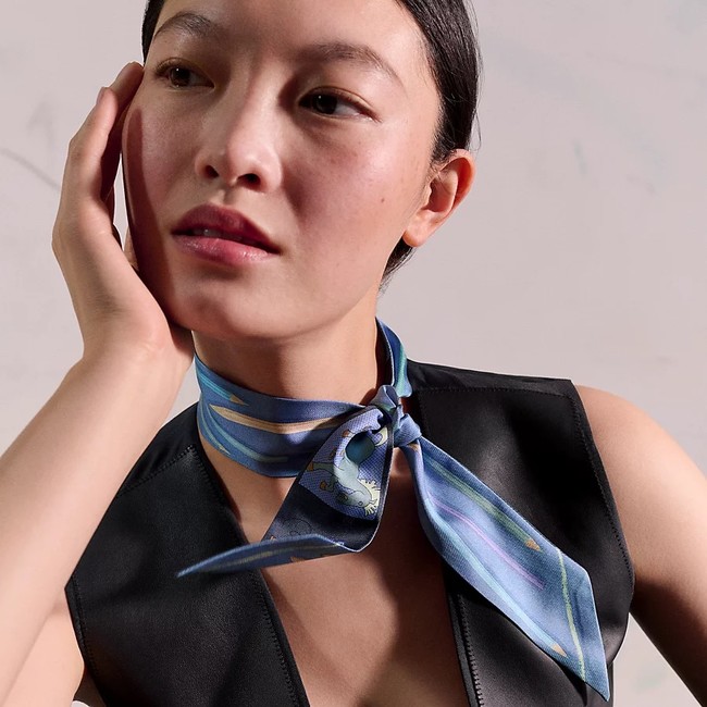 Hermes Twilly silk scarf H06425-3