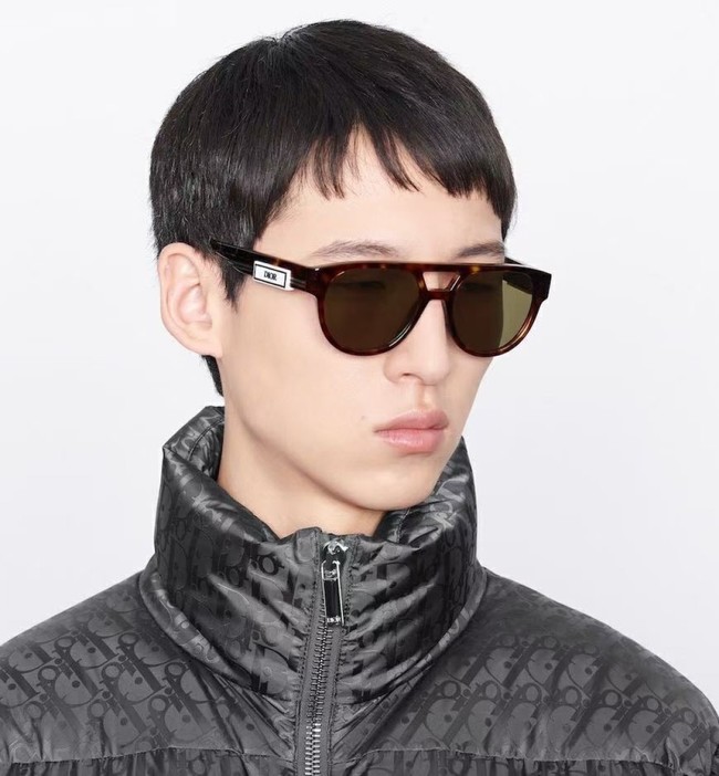 Dior Sunglasses Top Quality DPFCB2F-9