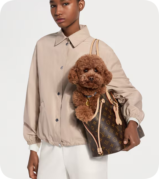 Louis Vuitton Neverwoof M27847