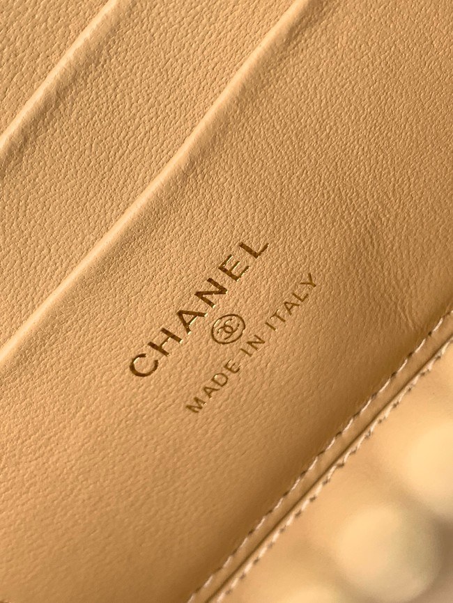 CHANEL Classic Long Vanity with Chain AP1341 Beige