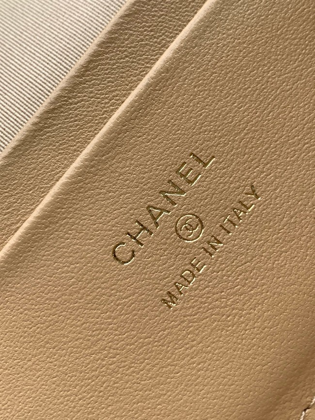 CHANEL Classic Vanity with Chain AP4385 Beige