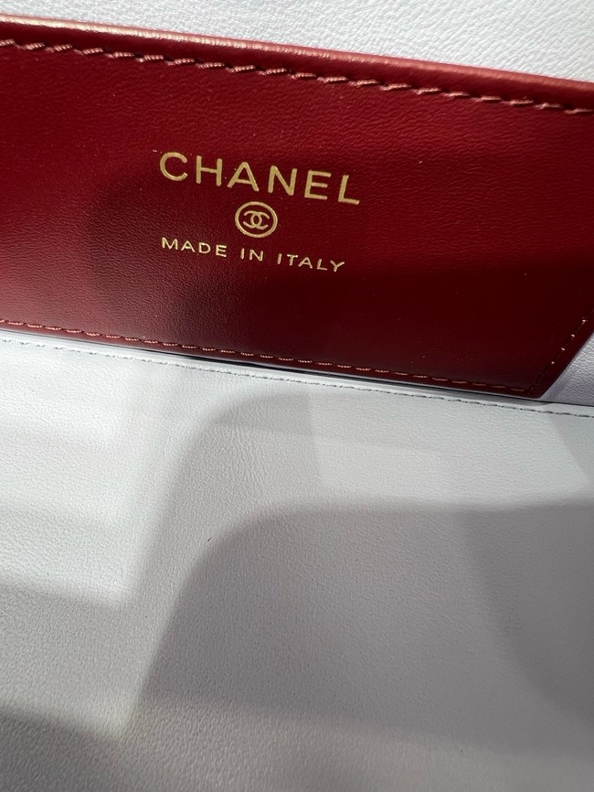 CHANEL Long Vanity with Leather Strap AP5067 Light purple