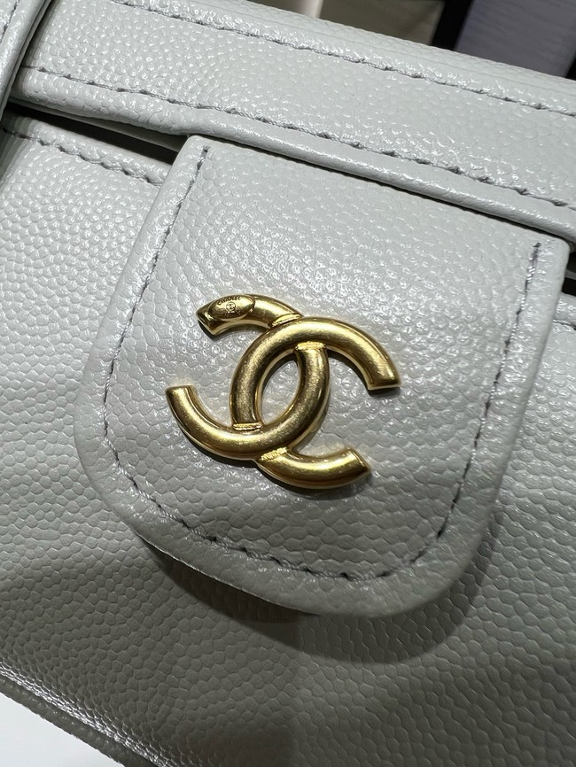 CHANEL Long Vanity with Leather Strap AP5067 light gray