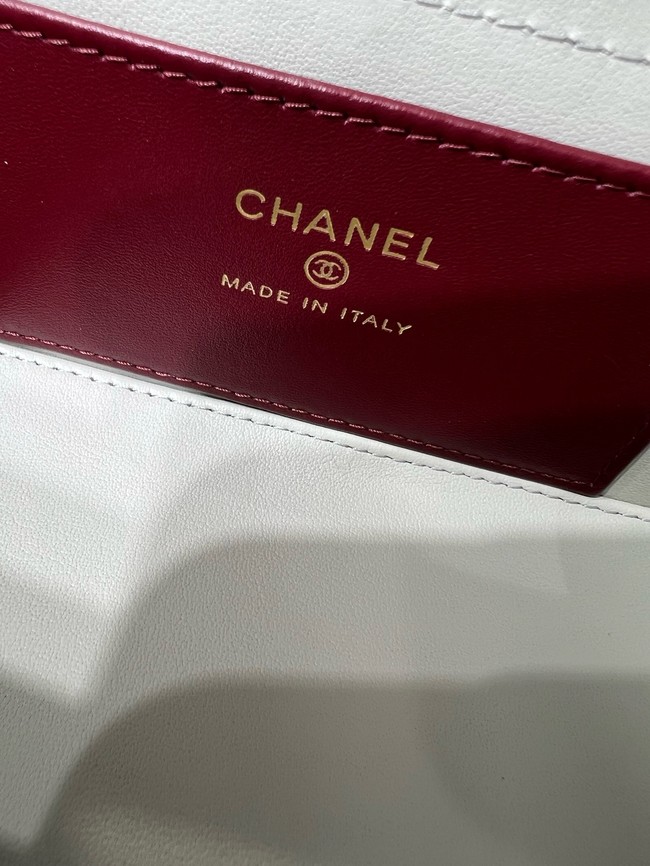 CHANEL Long Vanity with Leather Strap AP5067 light gray