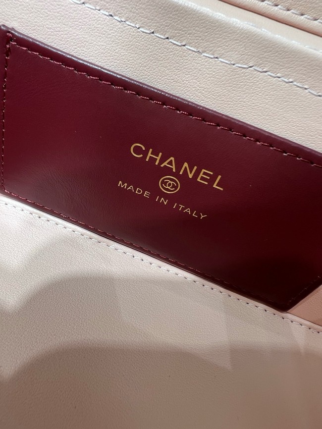 CHANEL Long Vanity with Leather Strap AP5067 pink