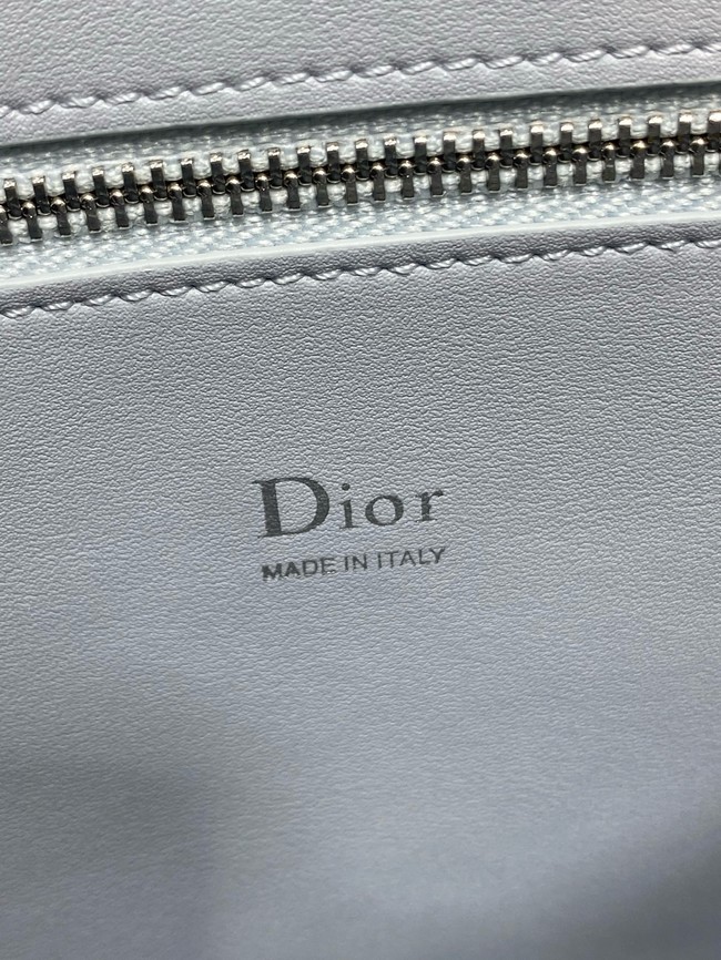 Dior Calfskin Medium Tote Bag 0738 ice blue