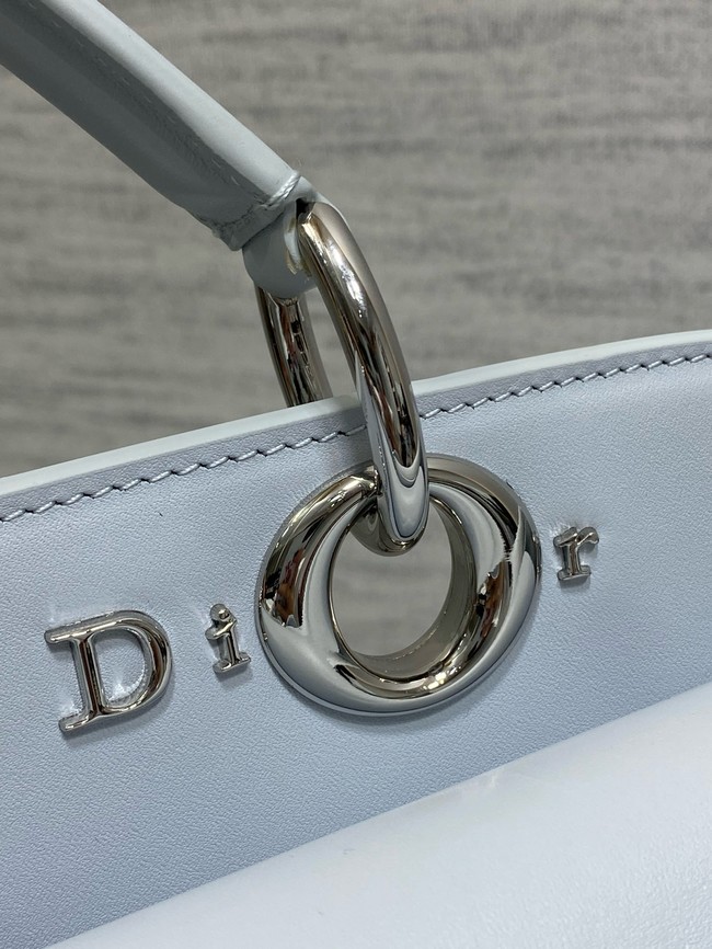 Dior Calfskin Medium Tote Bag 0738 ice blue