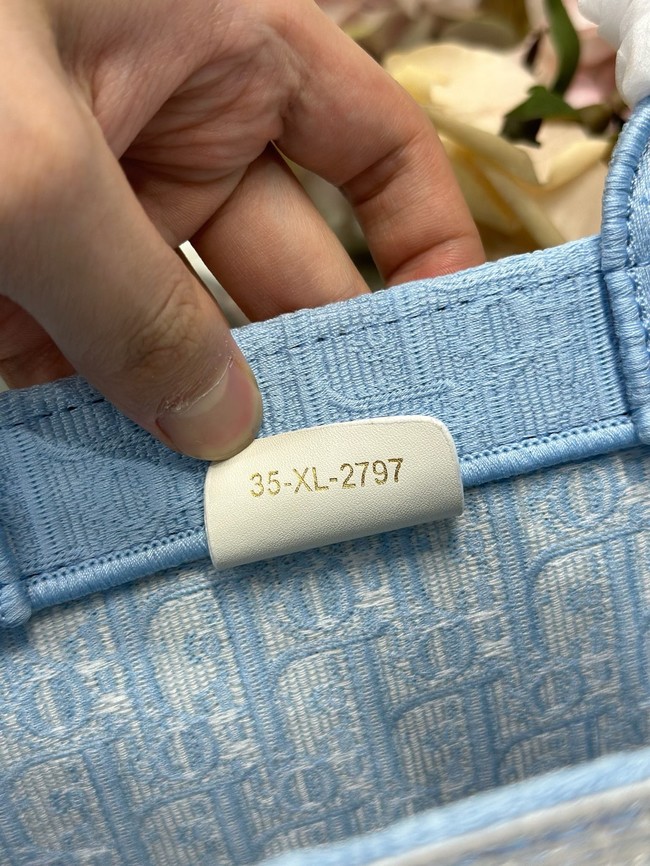 Small Dior Book Tote with Strap M1404PE Celestial Blue 