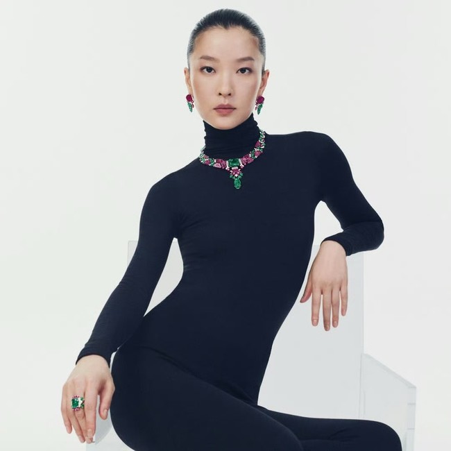 Cartier necklace&Earring&Bracelet&ring CE82025