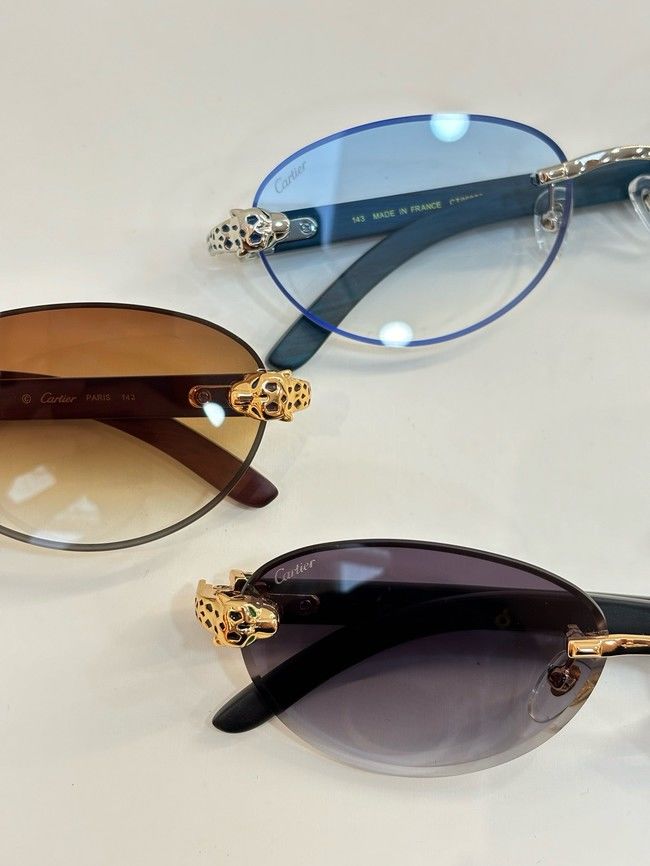 Cartier Sunglasses 260529-6