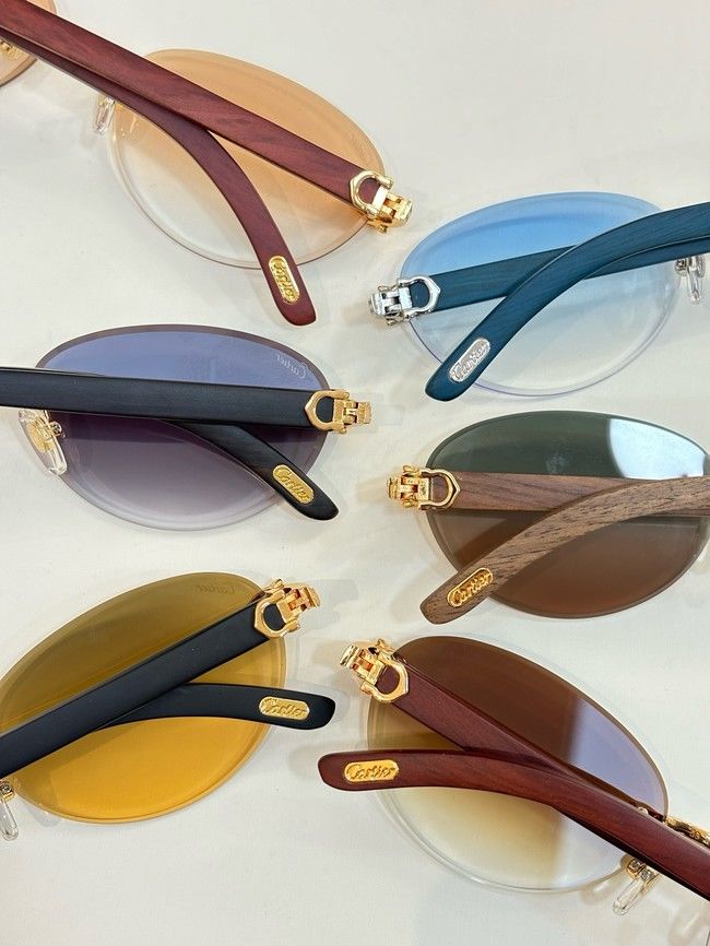 Cartier Sunglasses 260529-6