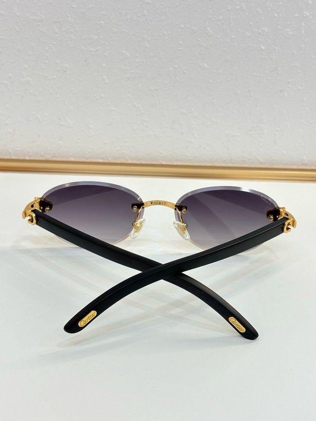 Cartier Sunglasses 260529-6