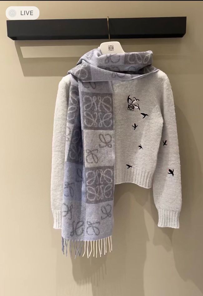 Loewe cashmere scarf 0018-1 Loewe cashmere scarf 0018-1