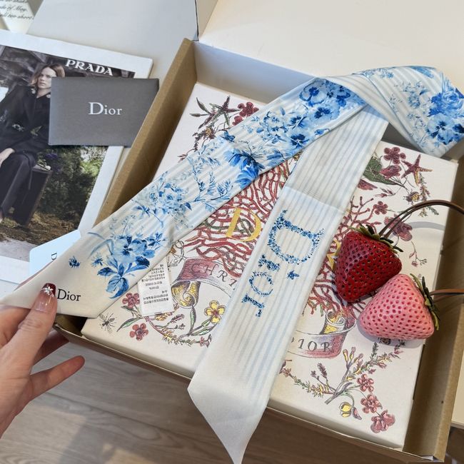 Dior Printed silk twill ribbon KY211-1 Dior Printed silk twill ribbon KY211-1
