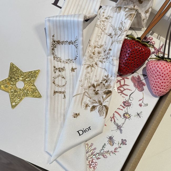 Dior Printed silk twill ribbon KY211-3 Dior Printed silk twill ribbon KY211-3
