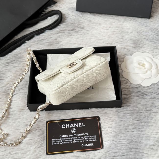 Chanel Wallet on Chain AP2401 Beige Chanel Wallet on Chain AP2401 Beige