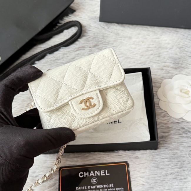 Chanel Wallet on Chain AP2401 Beige Chanel Wallet on Chain AP2401 Beige