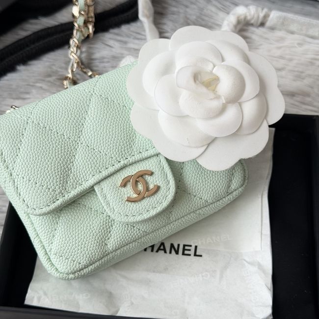 Chanel Wallet on Chain AP2401 Minty Chanel Wallet on Chain AP2401 Minty