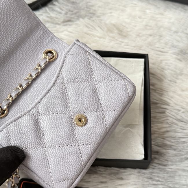Chanel Wallet on Chain AP2401 light gray