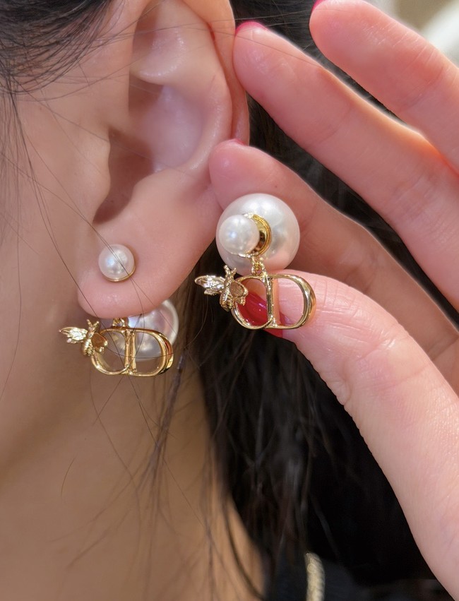 Dior Earrings CE89987 Dior Earrings CE89987