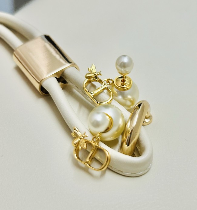 Dior Earrings CE89992
