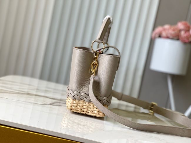 Louis Vuitton Capucines BB M24978 gray