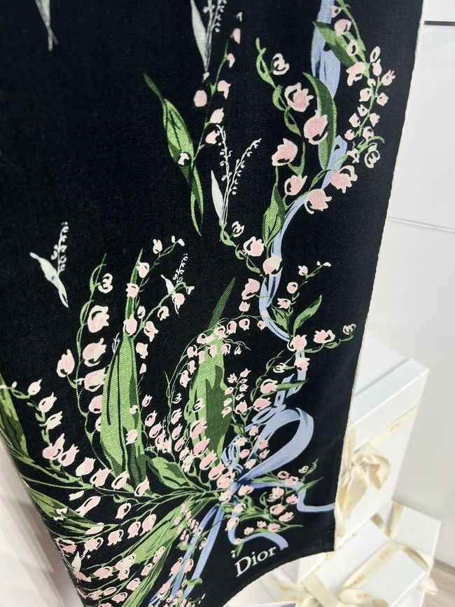 Dior Oblique Shawl L1168-2