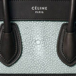 About Celine 